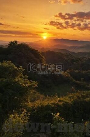大象回家视频在线观看-探索自然奇观，大象回家之旅的温馨瞬间