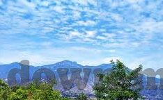 dxcm大象传媒-数字时代大象的舞动，DXCM大象传媒的创新之路