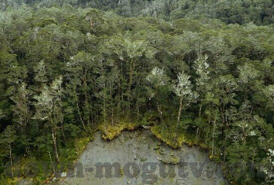 好色人妻-探索人性的多面性，好色与婚姻的微妙平衡