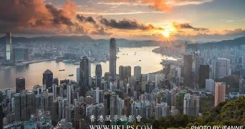 麻豆传媒在线直播-麻豆传媒直播平台的内容特点与影响分析