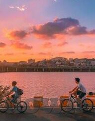 你好社区糖心vlog-探索社区新视角，你好，糖心的Vlog日常