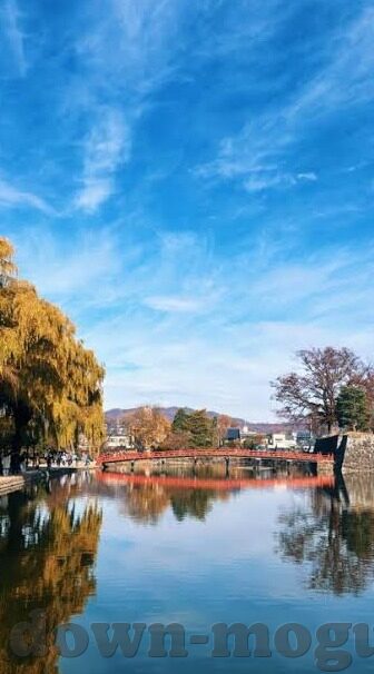 日韩av在线视频-日韩AV在线视频，文化、市场与影响