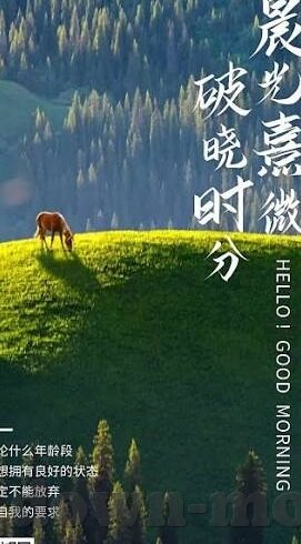 糖心播放器app-糖心播放器app，引领智能观影新体验